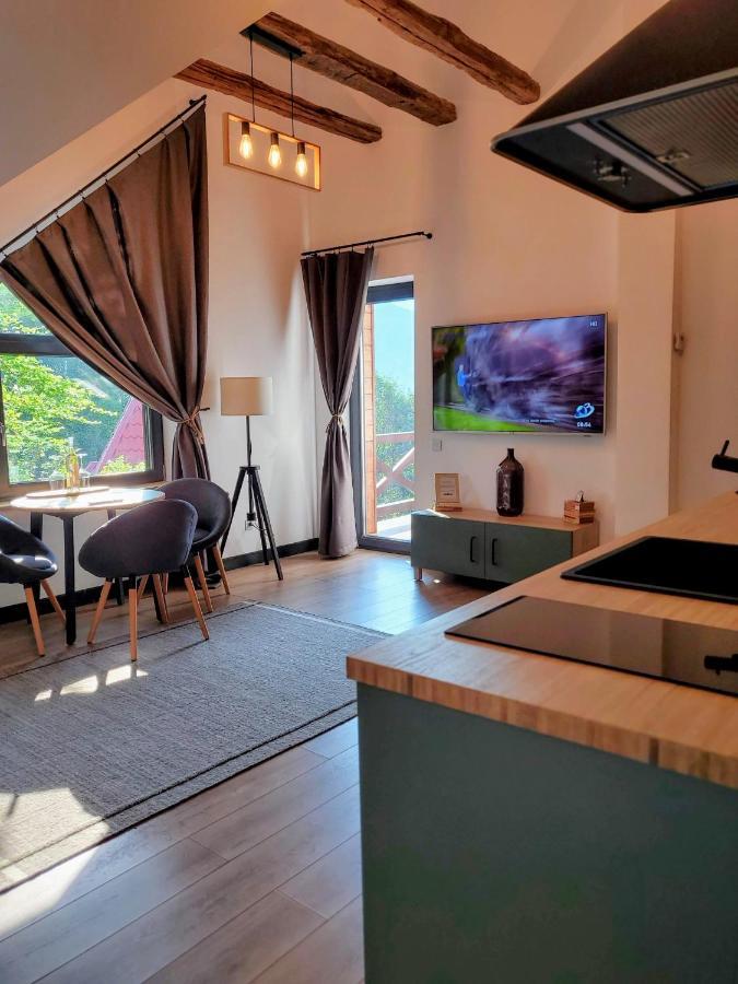 Casa Larisa Antonia Apartments Sinaia Kültér fotó