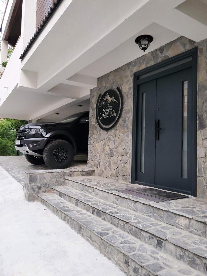 Casa Larisa Antonia Apartments Sinaia Kültér fotó