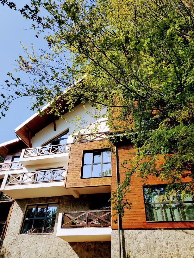 Casa Larisa Antonia Apartments Sinaia Kültér fotó