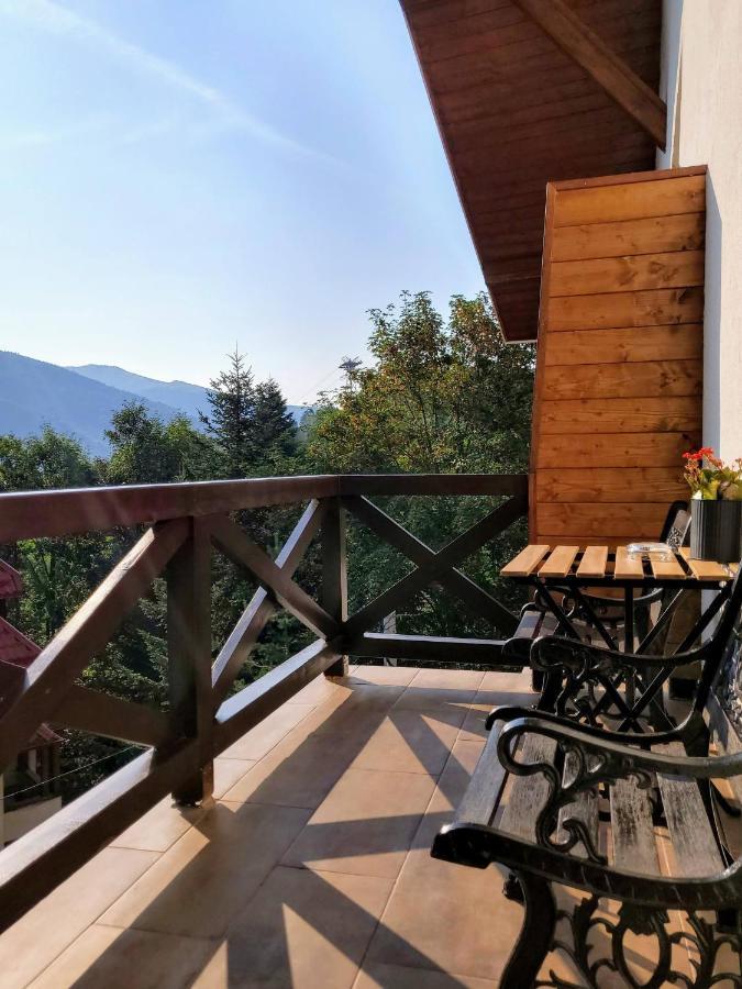 Casa Larisa Antonia Apartments Sinaia Kültér fotó