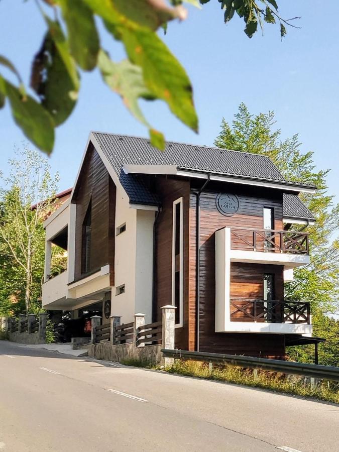 Casa Larisa Antonia Apartments Sinaia Kültér fotó